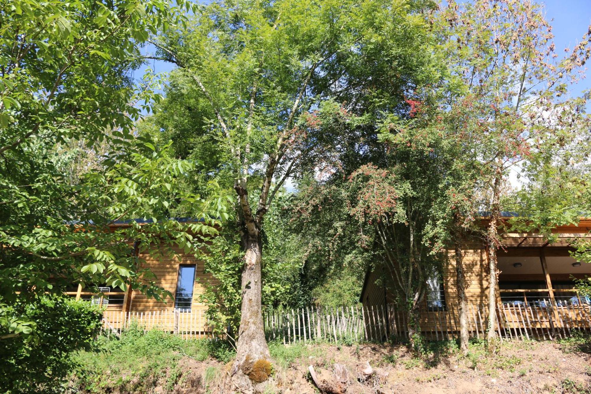 Camping Moulin De Chaules Saint-Constant المظهر الخارجي الصورة
