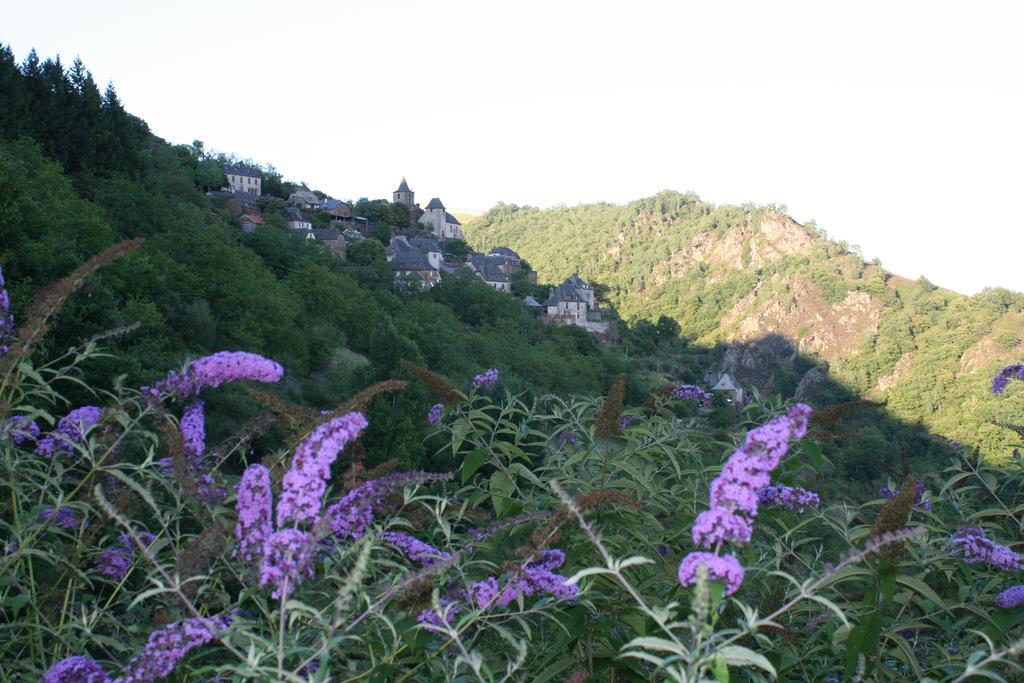 Camping Moulin De Chaules Saint-Constant المظهر الخارجي الصورة